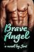 Brave Angel (Angel Series)