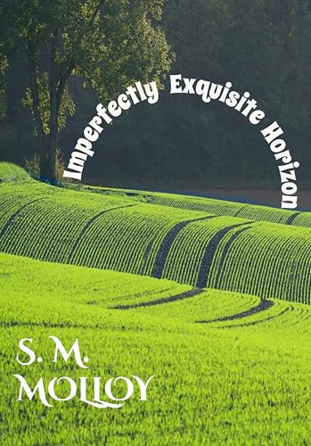 Imperfectly Exquisite Horizon (Gilded Treasures Series)