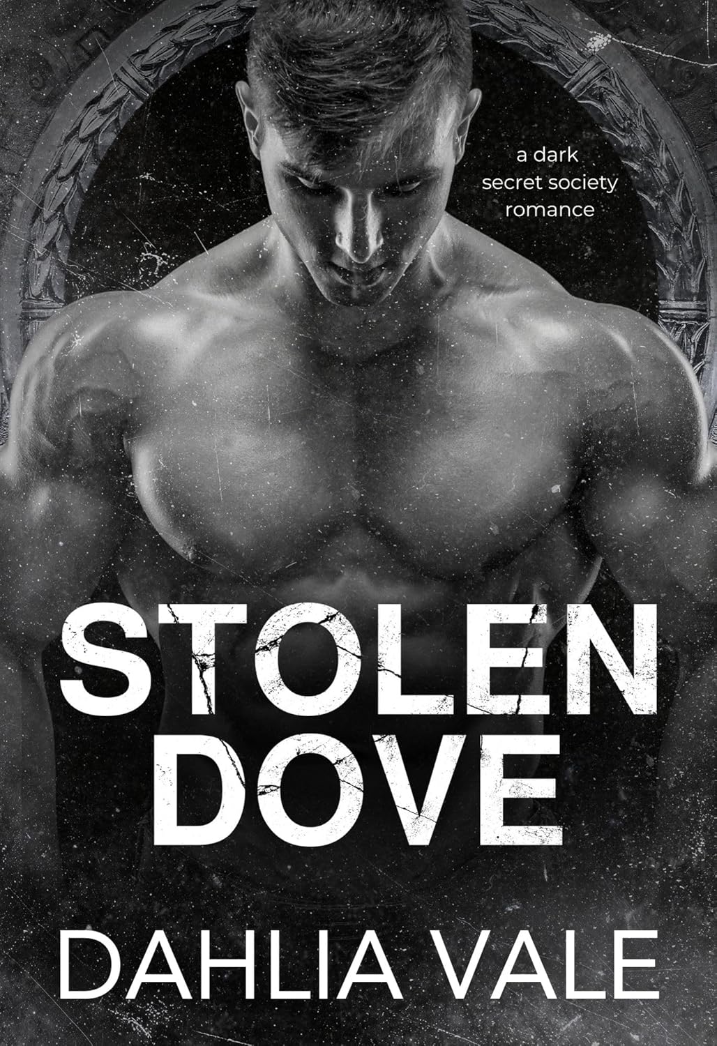 Stolen Dove