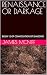 RENAISSANCE OR DARKAGE by James McNiff