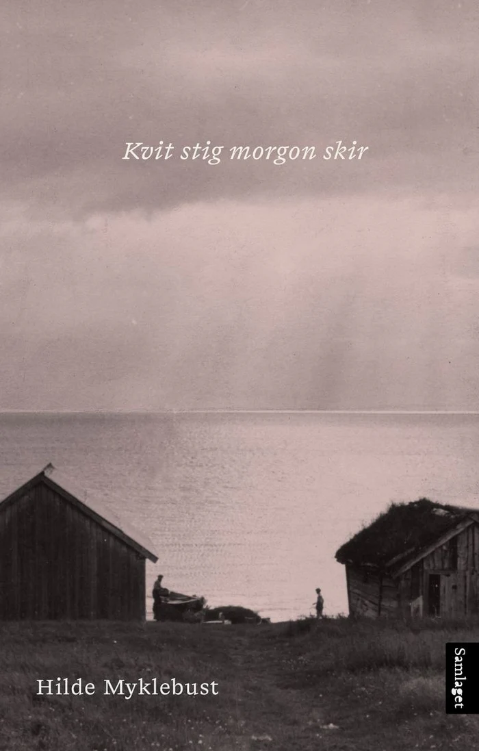 Kvit stig morgon skir