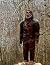 The Many Faces Of Bigfoot: ...