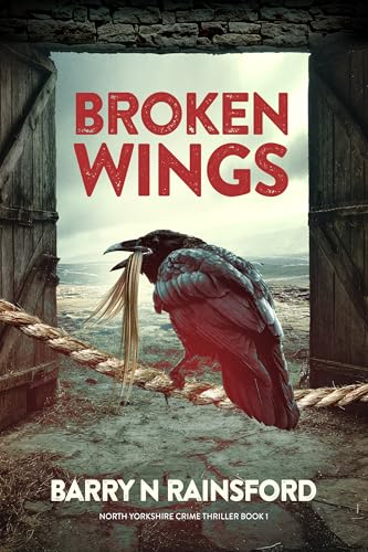 Broken Wings (Kindle Edition)
