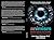 AI Animism: Sentient Agents and Societies: A Guide for Living with the Gods Among Us