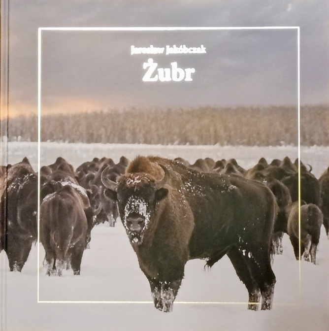 Żubr (Hardcover)
