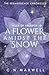 A Flower Amidst the Snow: T...