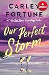 Our Perfect Storm