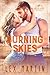 Burning Skies (Wild at Heart #3)