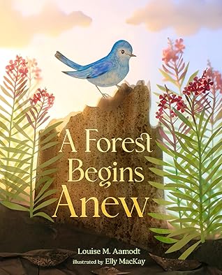 A Forest Begins Anew