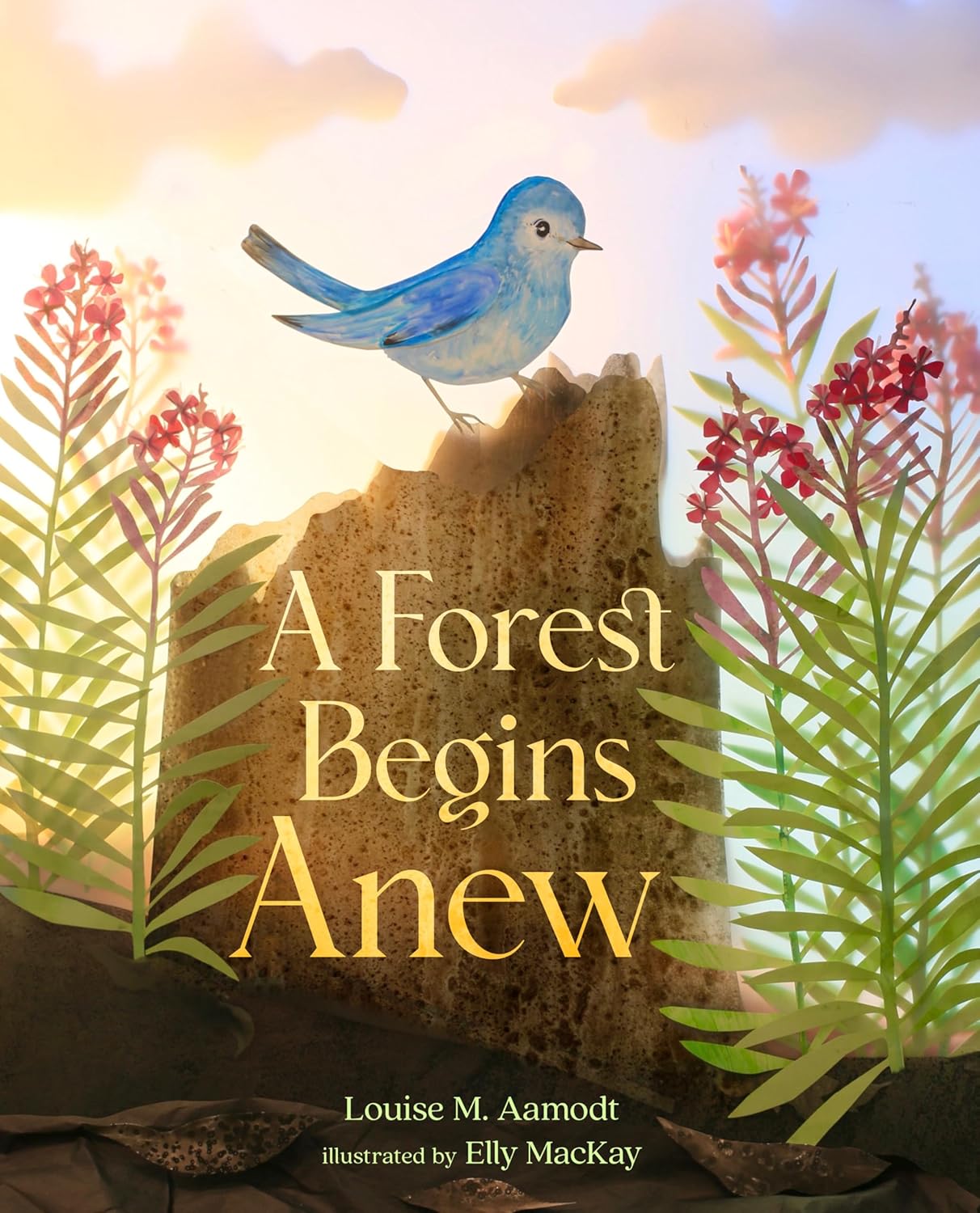 A Forest Begins Anew (Hardcover)