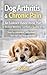 Dog Arthritis & Chronic Pai...