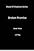 Broken Promise: A Dark Mystery Enemies to Lovers Mafia Romance (Blaze Of Shadows Book 3)
