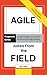 Agile: Notes from the Field...
