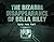 the bizarre disappearance of bella riley