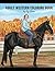 Adult Western Coloring Book