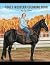 Adult Western Coloring Book by Liz Stone