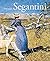 Giovanni Segantini /allemand