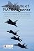 The Future of NATO Airpower...