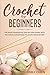 Crochet For Beginners: The ...