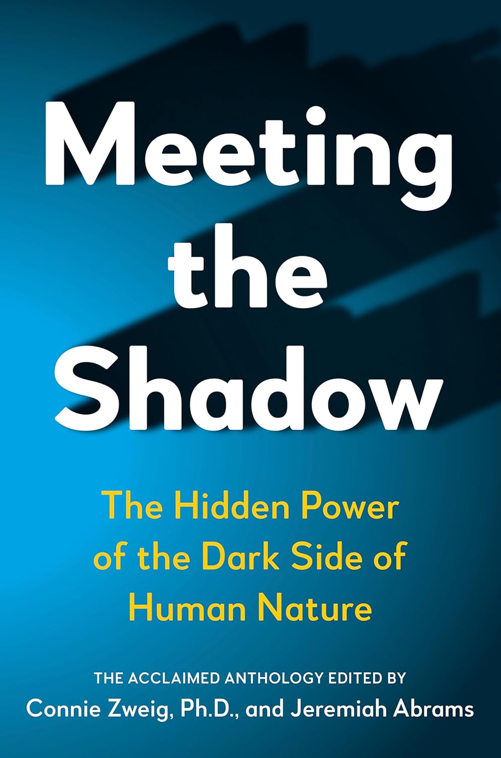 Meeting the Shadow: The Hidden Power of the Dark Side of Human Nature (ebook)