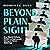 Beyond Plain Sight: A Consp...