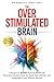 The Overstimulated Brain: A Surgeon’s ADHD Protocol Workbook: Executive Function Tools for Rapid Task Initiation and Sustainable Focus Without Burnout (The Overstimulated Series Book 1)