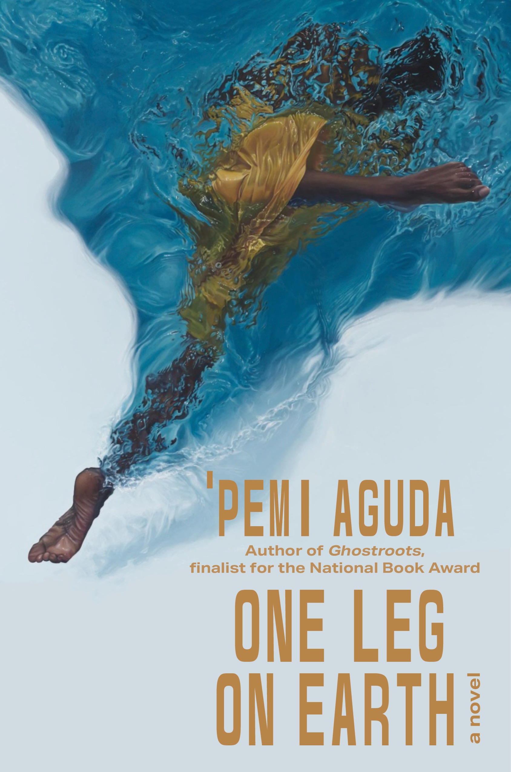 One Leg on Earth (Hardcover)