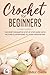Crochet For Beginners by Emily Chien