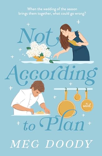 Not According to Plan: A Second Chance Workplace Romance (Kindle Edition)