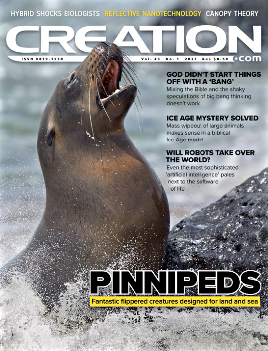 Creation Magazine Volume 43 Number 1 January-March 2021