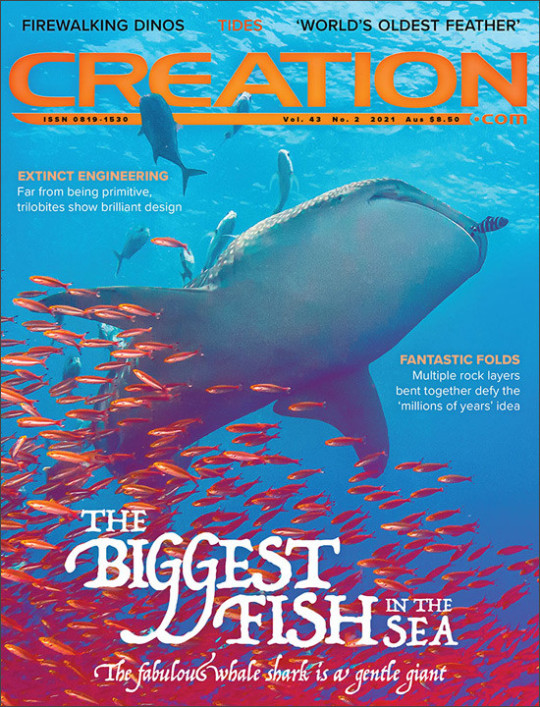 Creation Magazine Volume 43 Number 2 April-June 2021
