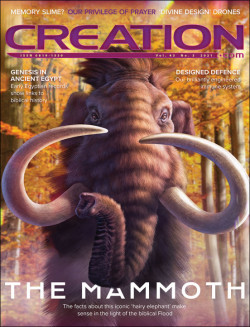 Creation Magazine Volume 43 Number 3 July-September 2021