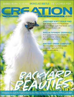Creation Magazine Volume 43 Number 4 October-December 2021
