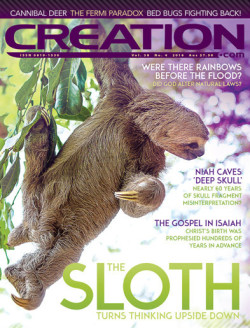 Creation Magazine Volume 38 Number 4 October-December 2016