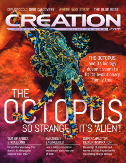 Creation Magazine Volume 41 Number 2 April-June 2019