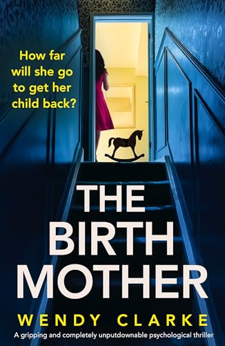 The Birth Mother (Kindle Edition)