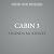 Cabin 3: Steele Shadows Security (Steele Shadows Security)