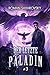 Der letzte Paladin (Buch 3)...