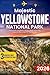 Majestic Yellowstone Nation...