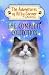 The Adventures of Kitty Corner by Natalie Knox The Adventures of Kitty Corner by Natalie Knox