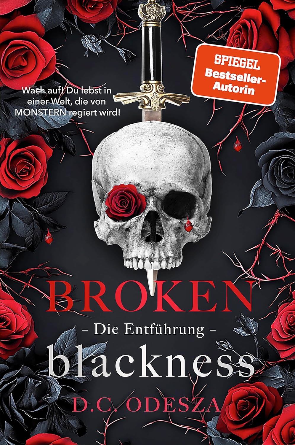Die Entführung (BROKEN Blackness, #1)