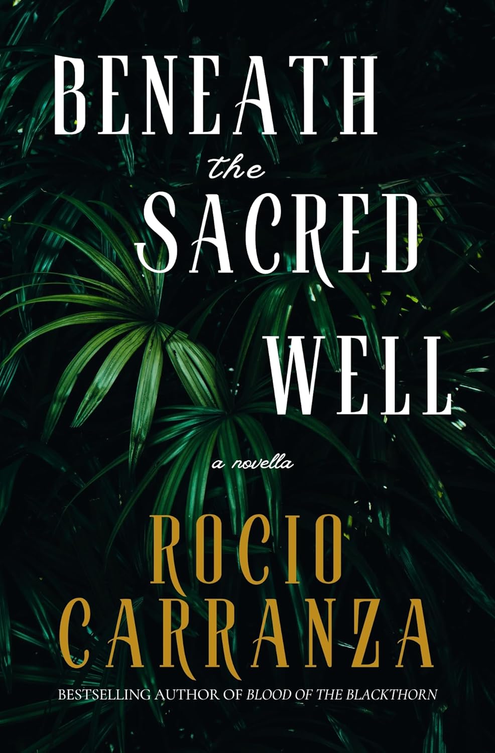 Beneath the Sacred Well