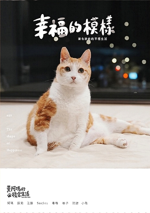 黃阿瑪的後宮生活: 幸福的模樣