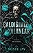 Çaldığımız Yalanlar (The Hollow Boys, #1)