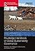 Routledge Handbook of Globa...