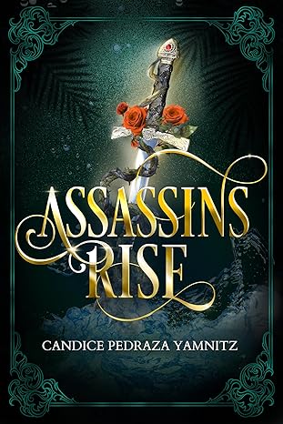 Assassins Rise