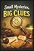 Small Mysteries, Big Clues by Moshe Chayon