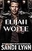 Elijah Wolfe by Sandi Lynn