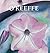 O'Keeffe