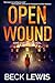Open Wound (Dead Ends Book 2)